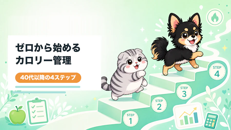 カロリー管理の始め方40代以降がゼロから迷わない4ステップ