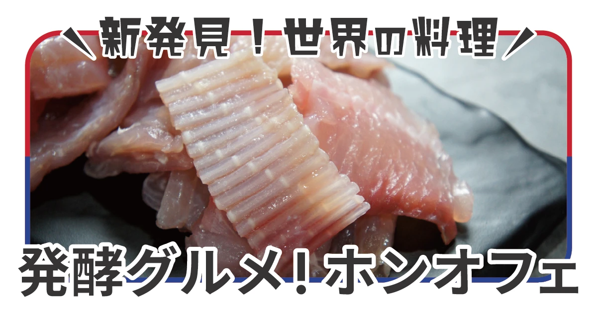 世界最強の発酵グルメ！？韓国の挑戦状「ホンオフェ」