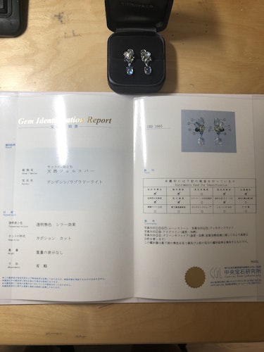 イヤリング/ピアス   Fancy Color