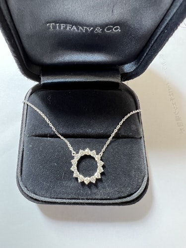 ダイヤモンドペンダント pt900 1ct