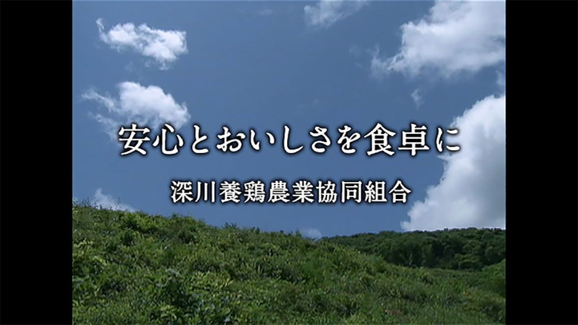 実績の写真