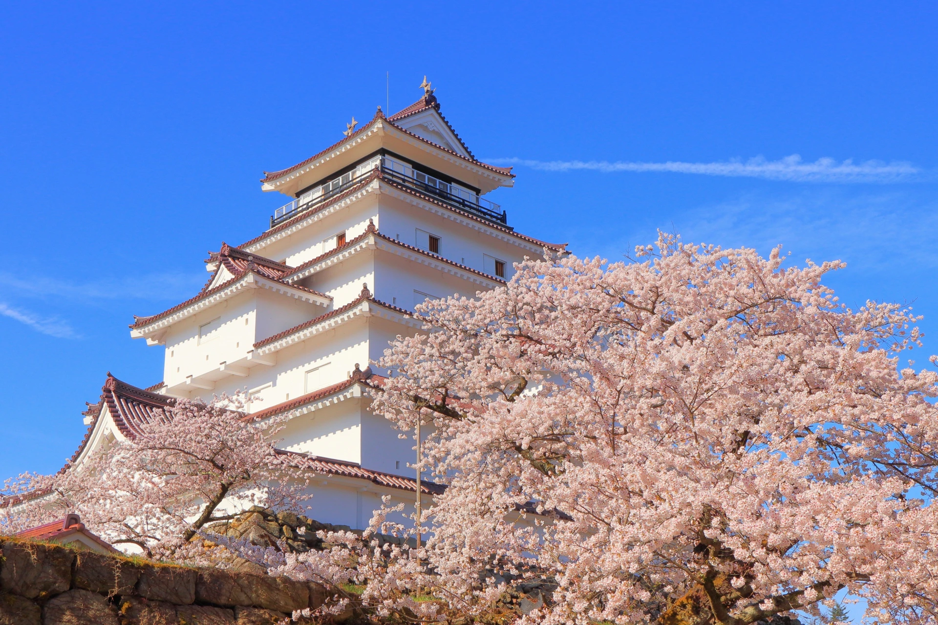 桜前線を追いかける春の旅