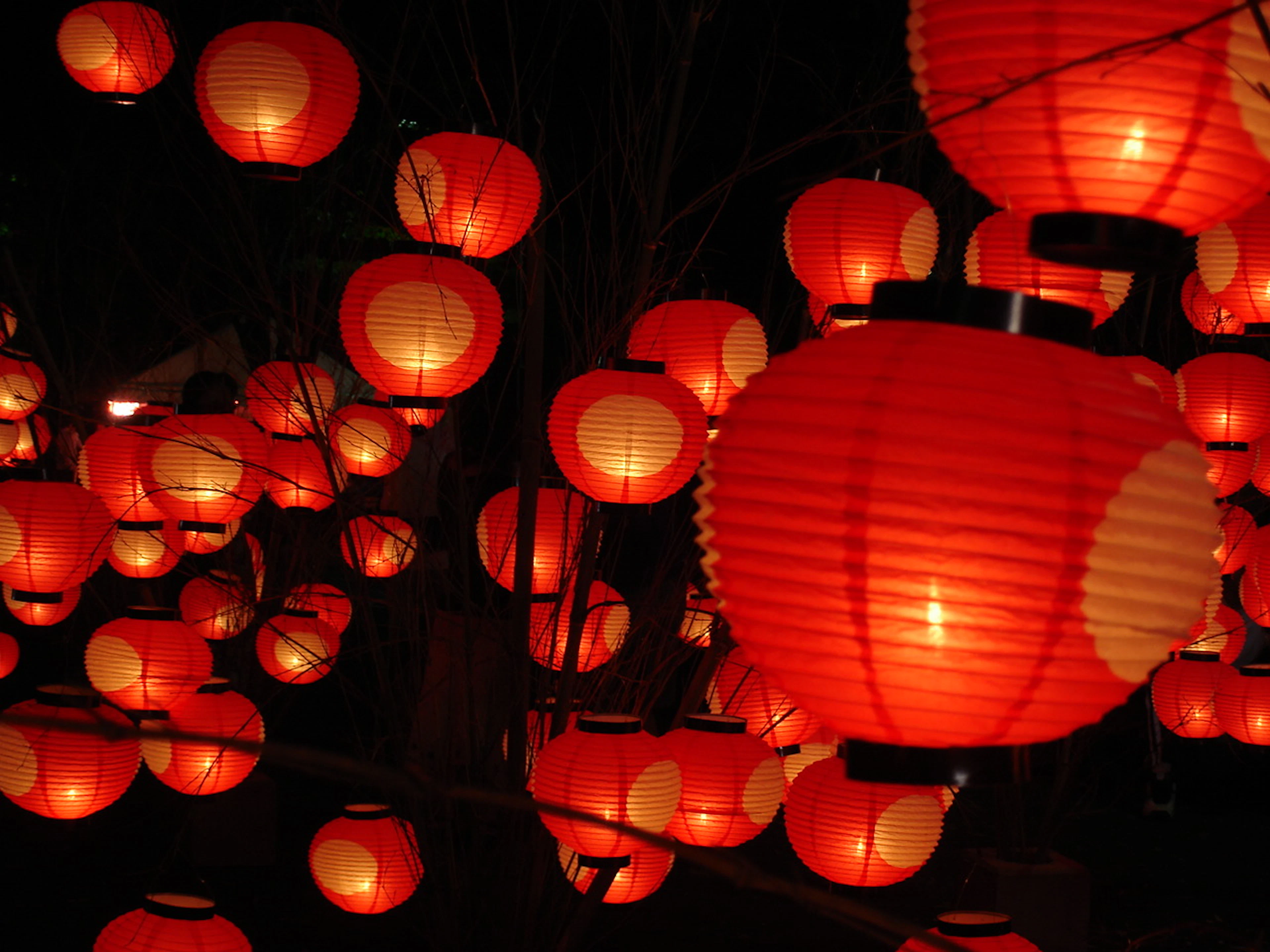 夏の夜を彩る花火と夏祭り巡り