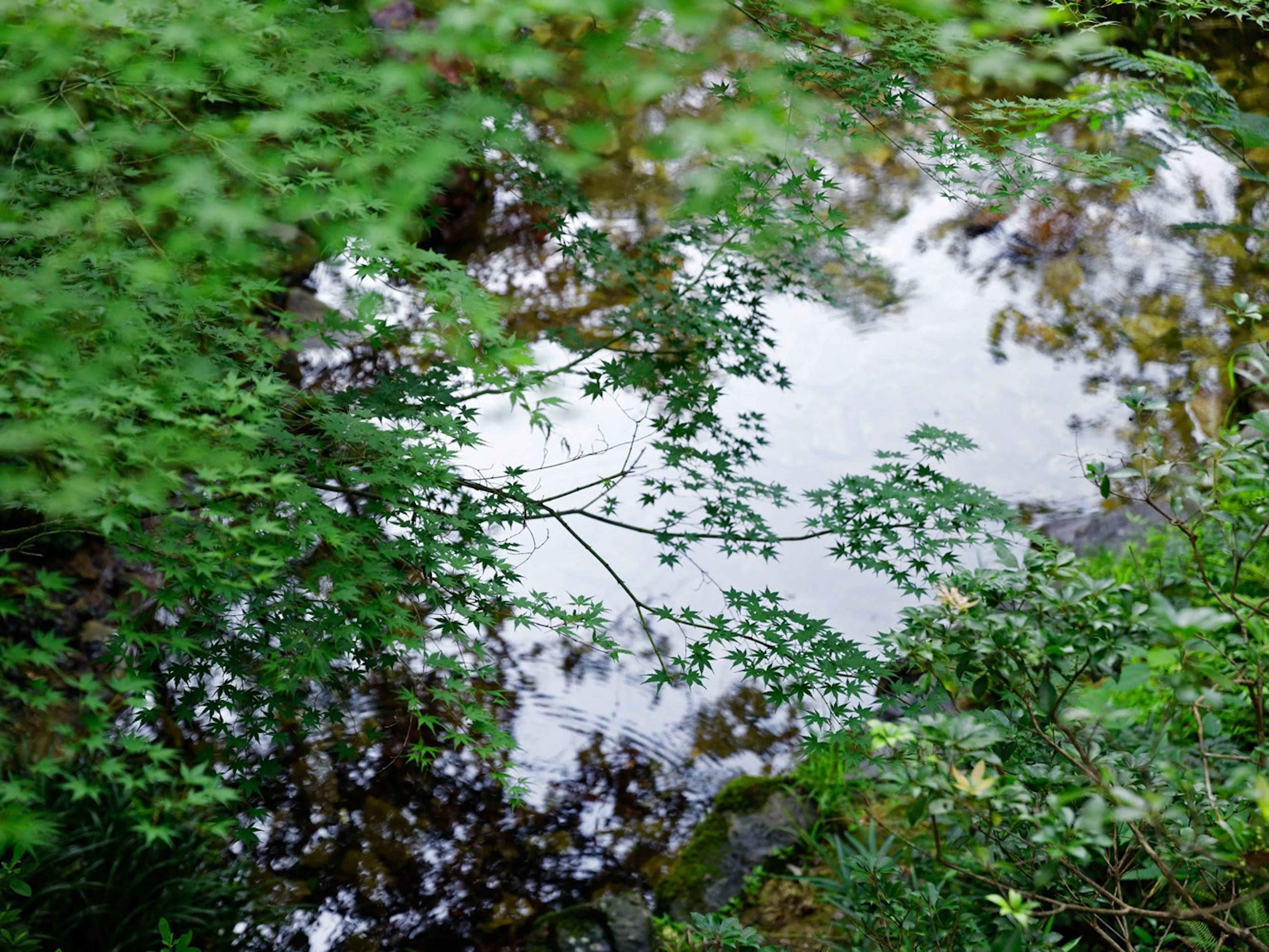 旅館ぬしや
