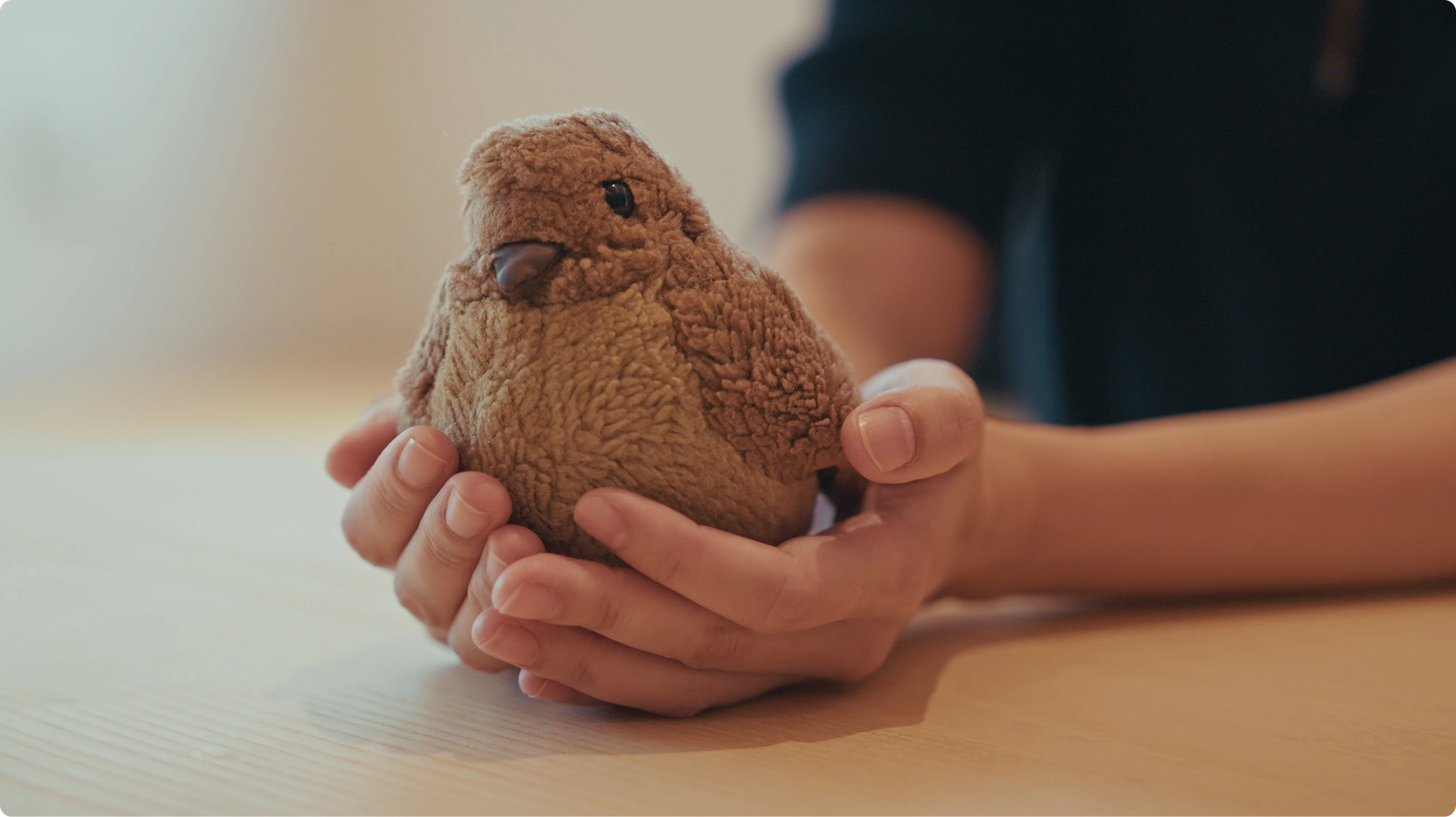 両手で支えられる茶色のトリのぬいぐるみ。