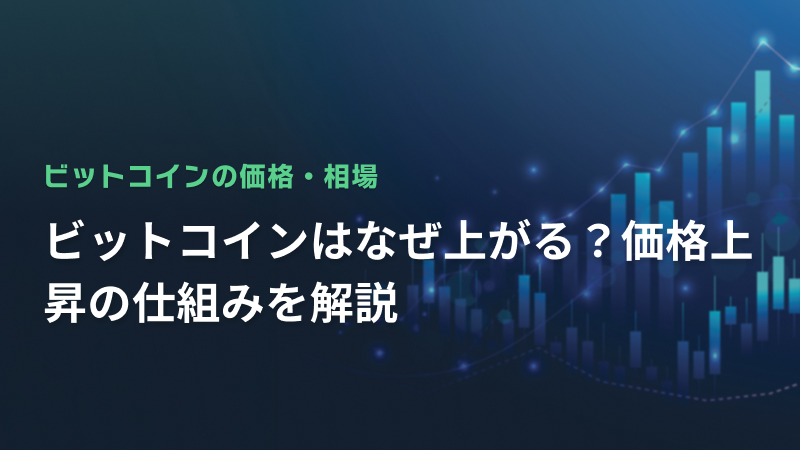コラム