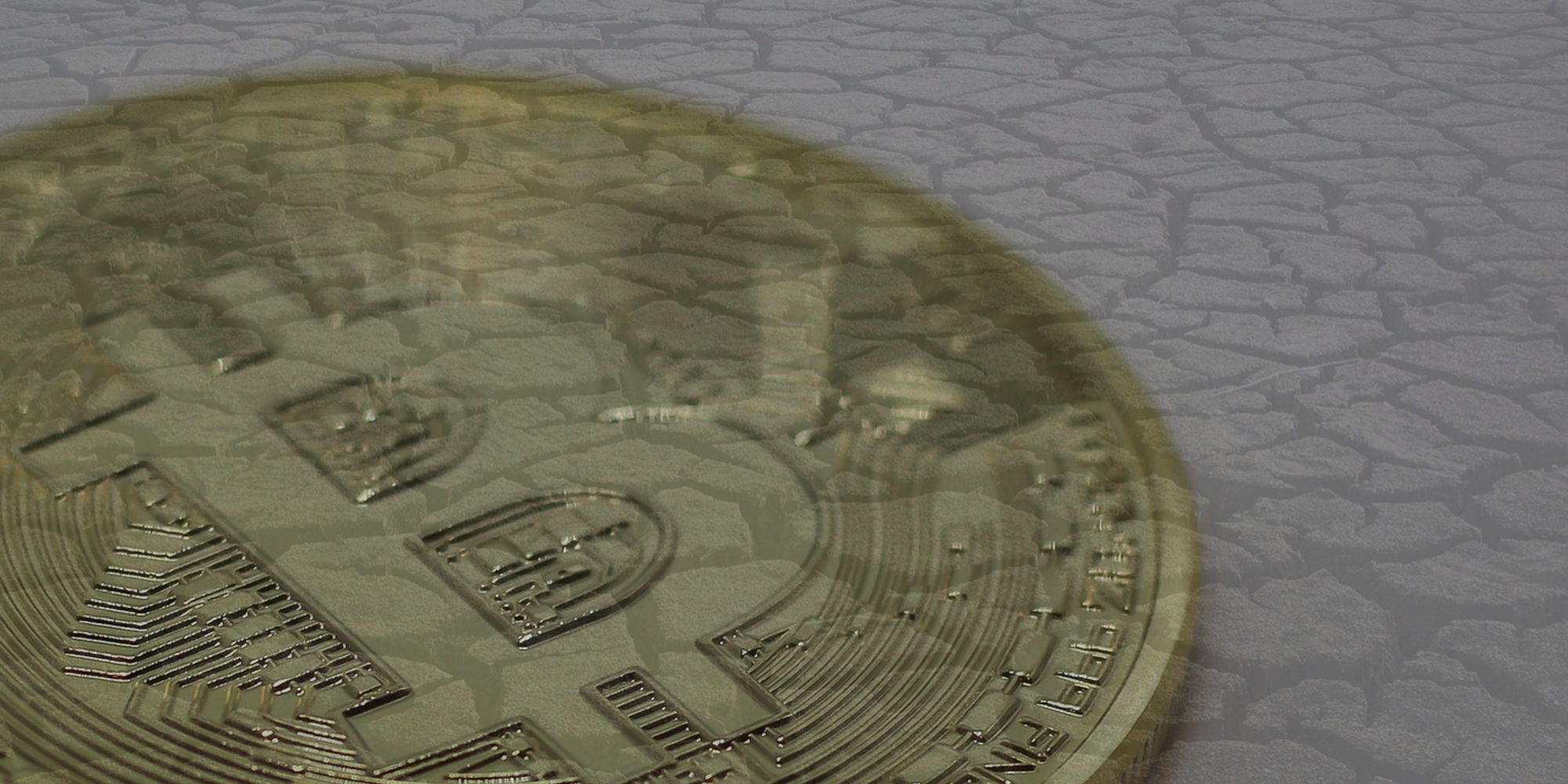 調査レポートのマーケット記事一覧 | ビットバンクプラス