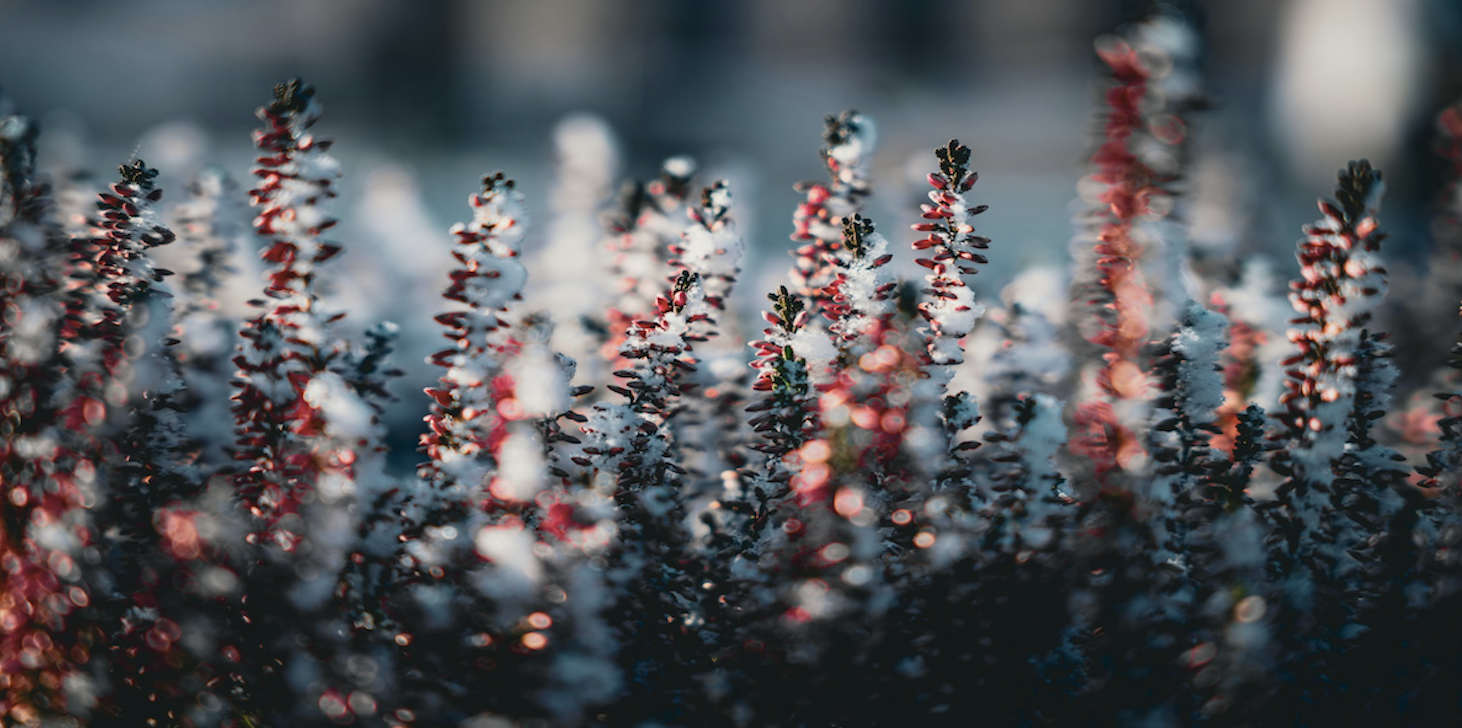 妊娠 初期 フェラ キスはこちらからしたらok。