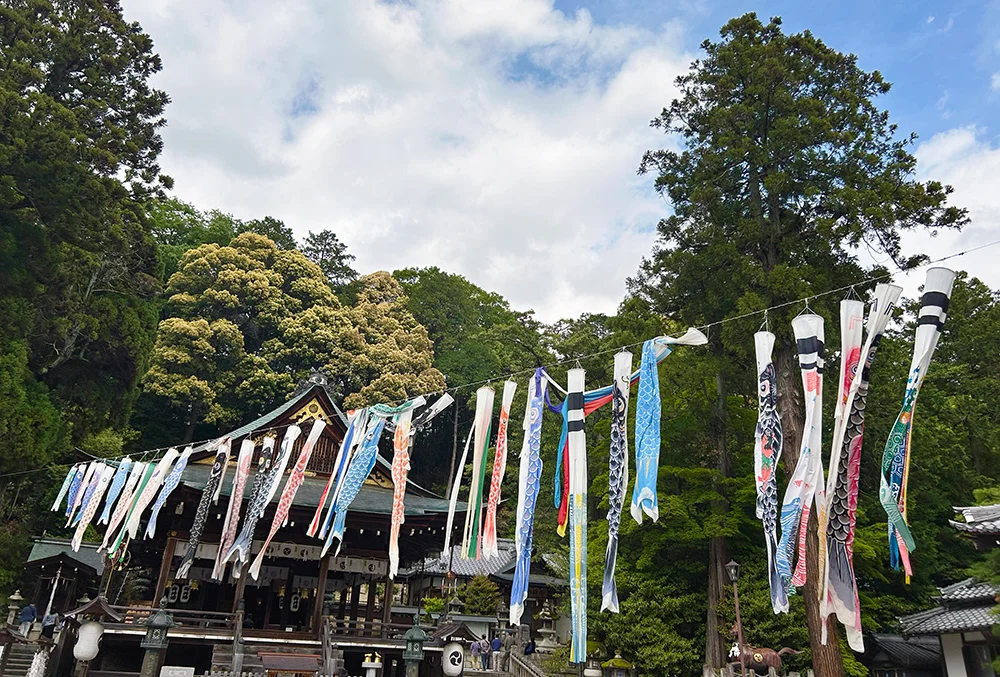 日牟禮八幡宮の鯉のぼりイメージ