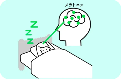 睡眠中のメラトニンの分泌が増加している女性のイメージ