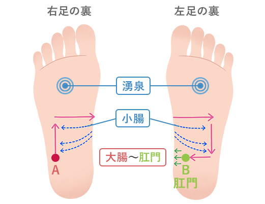 足裏のツボ