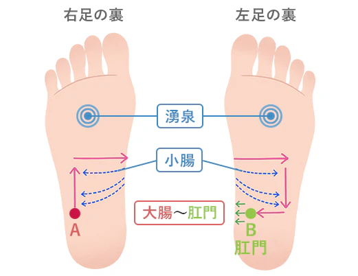 足裏のツボ