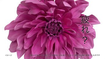 新TV‐CM『花』篇シーン5