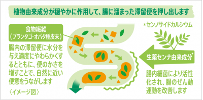 腸に溜まった滞留便<sup>※1</sup>を食物繊維と生薬由来成分でスムーズに排出
