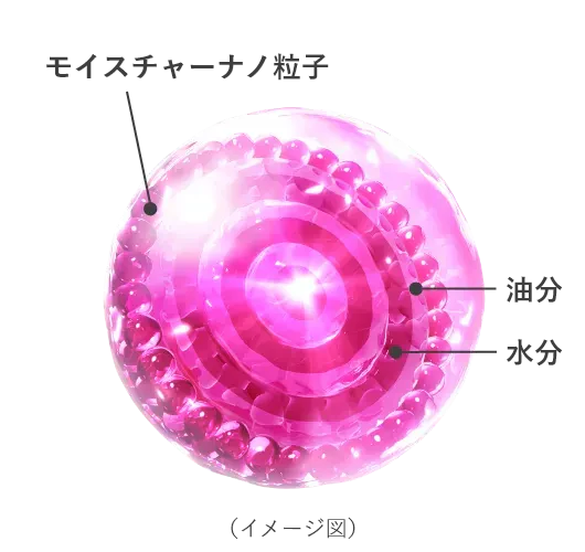 モイスチャーナノ粒子 油分 水分 三相球状ラメラ(イメージ図)