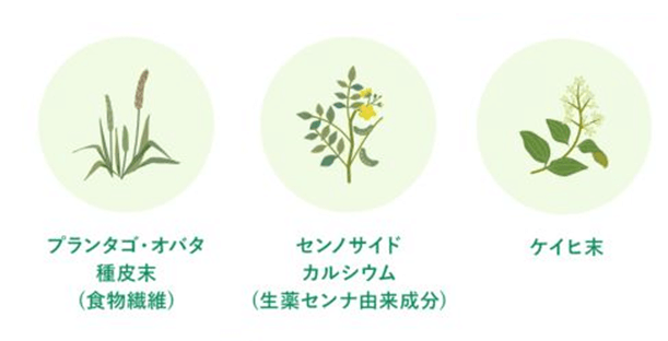 プランタゴ･オバタ種皮末 センノサイドカルシウム ケイヒ末