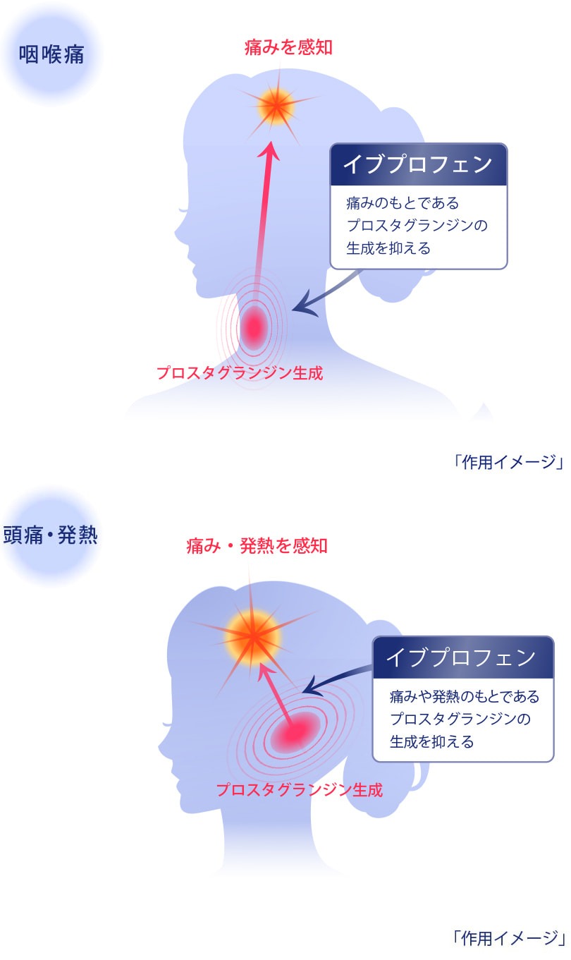 製品特長1の作用イメージ図
