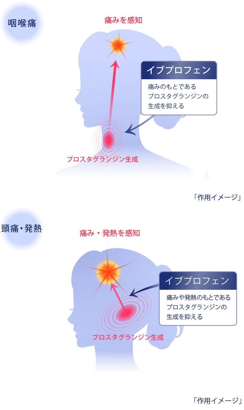 製品特長1の作用イメージ図