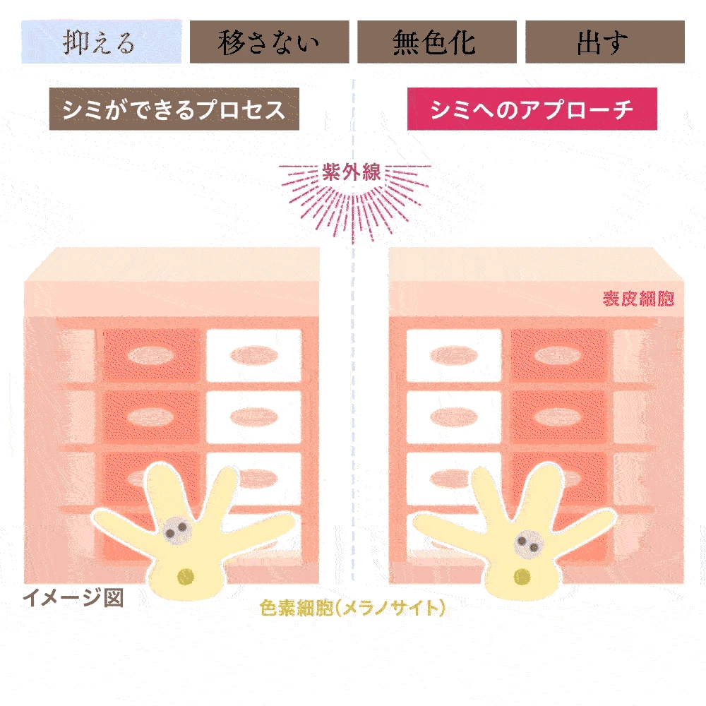 シミができるメカニズムのイメージ図