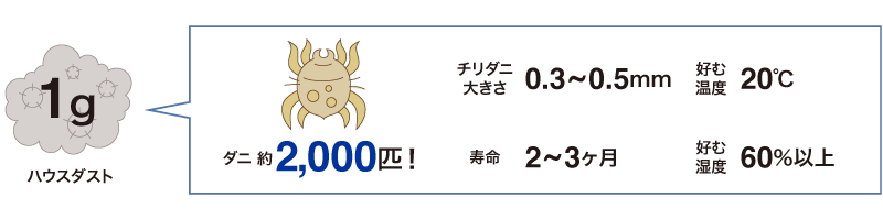 見えない敵、ダニは1年中いる