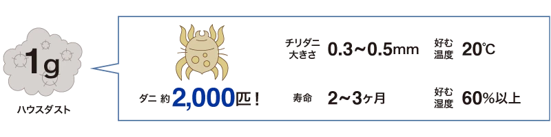 見えない敵、ダニは1年中いる