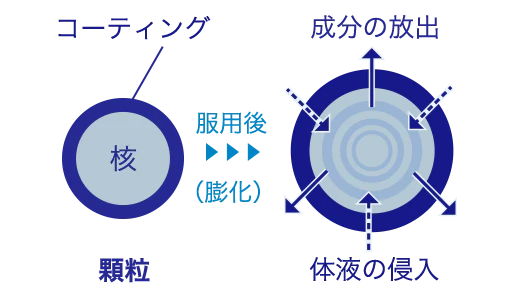 持続性をあらわすしくみ(イメージ図)