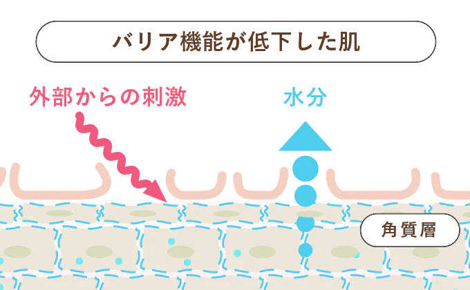 バリア機能が低下した肌