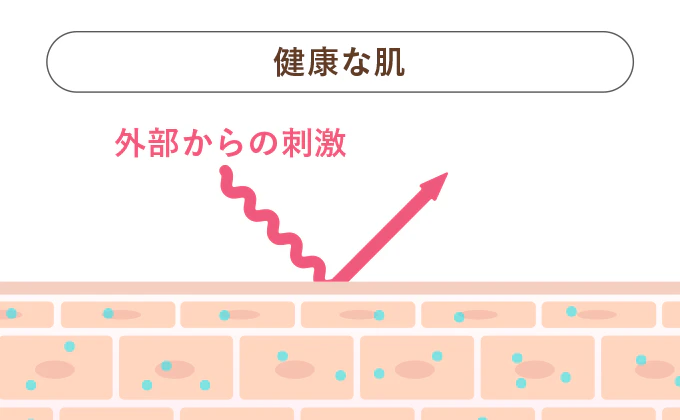 健康な肌