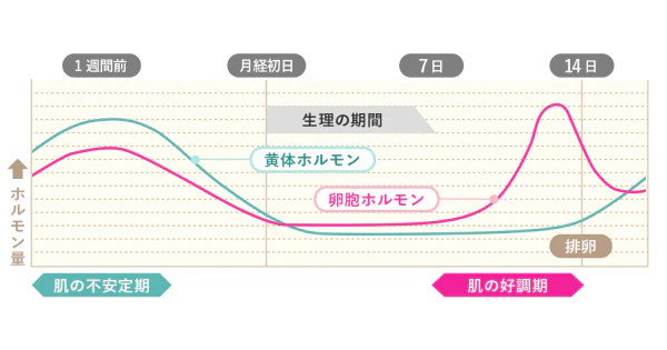 ホルモンバランス
