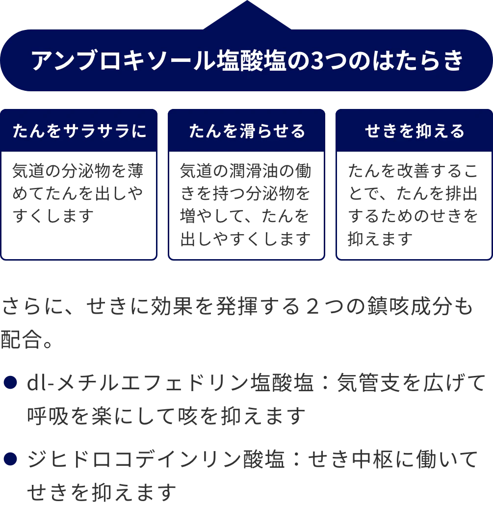 アンブロキソール塩酸塩の3つのはたらき【たんをさらさらに:気道の分泌物を薄めてたんを出しやすくします】【たんを滑らせる:気道の潤滑油の働きを持つ分泌物を増やして、たんを出しやすくします】【せきを抑える:たんを改善することで、たんを排出するためのせきを抑えます】さらに、せきに効果を発揮する2つの鎮咳成分も配合。dl-メチルエフェドリン塩酸塩:気管支を広げて呼吸を楽にして咳を抑えます。ジヒドロコデインリン酸塩:せき中枢に働いてせきを抑えます。