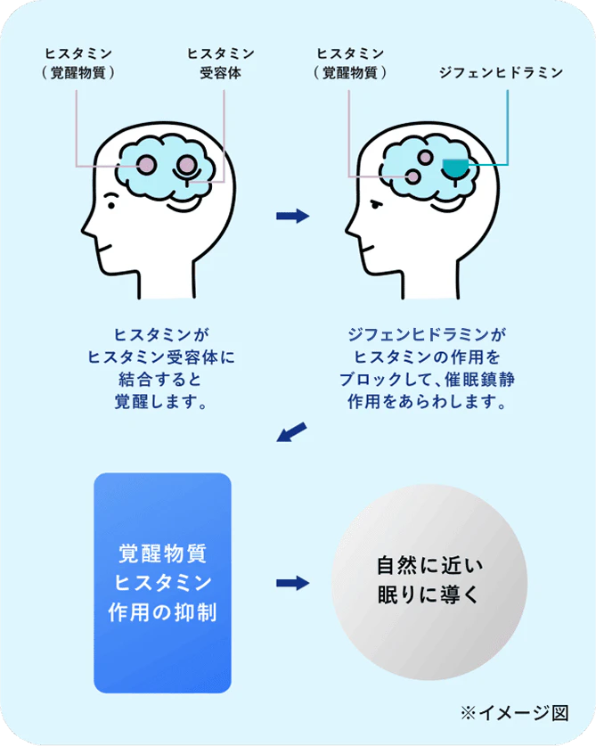 ヒスタミンがヒスタミン受容体に結合すると覚醒します。 ジフェンヒドラミンがヒスタミンの作用をブロックして、催眠鎮静作用をあらわします。