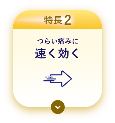 特長2 つらい痛みに速く効く