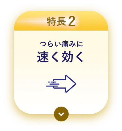 特長2 つらい痛みに速く効く