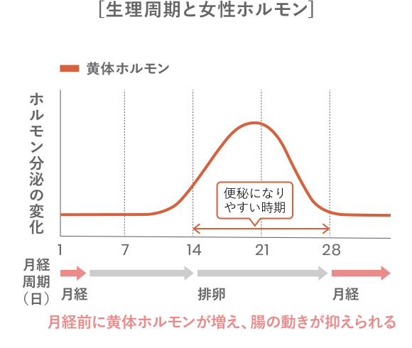 [生理周期と女性ホルモン]の表