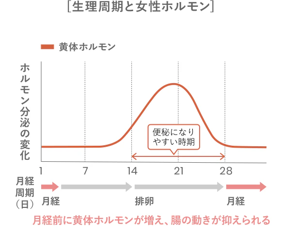 [生理周期と女性ホルモン]の表