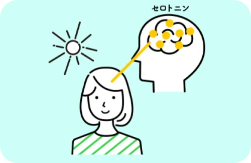 セロトニンという神経伝達物質の分泌が増加したイメージ