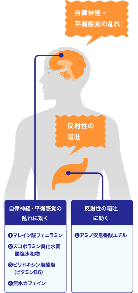 自律神経の乱れ 平衡感覚の乱れ 反射性の嘔吐