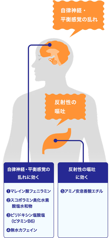 自律神経の乱れ 平衡感覚の乱れ 反射性の嘔吐