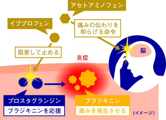 プロスタグランジンの生成を抑制する鎮痛成分を配合