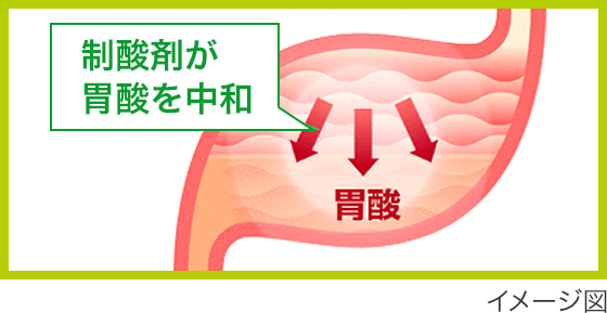 制酸剤が胃酸を中和