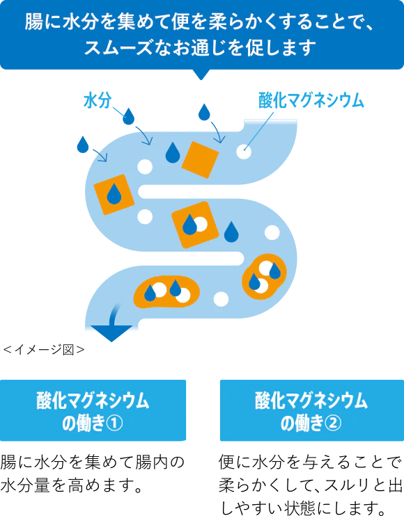 腸に水分を集めて便を柔らかくすることで、スムーズなお通じを促します＜イメージ図＞