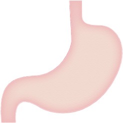鎮痛薬を飲むと胃が痛くなる？