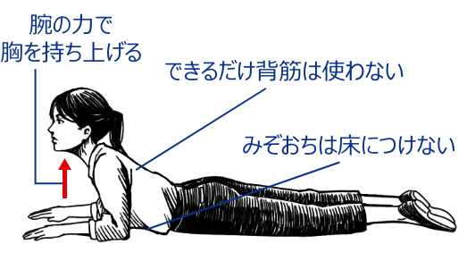 腕の力で胸を持ち上げる、できるだけ背筋は使わない、みぞおちは床につけない