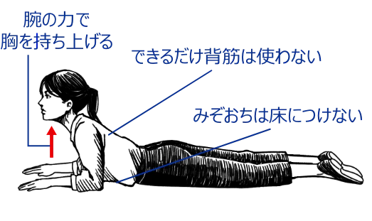 腕の力で胸を持ち上げる、できるだけ背筋は使わない、みぞおちは床につけない