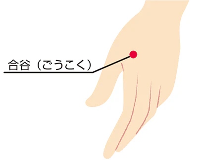 手のツボ