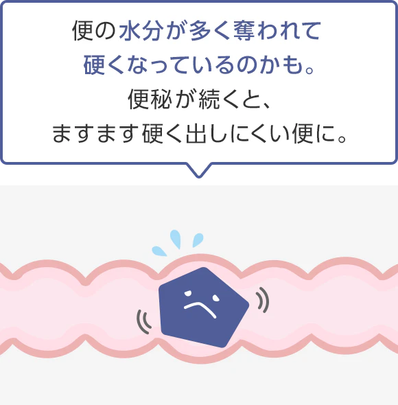 便の水分が多く奪われて硬くなっているのかも。便秘が続くと、ますます硬く出しにくい便に。