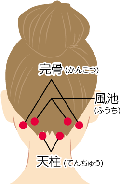 天柱、風池、完骨のツボ