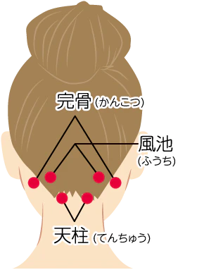 天柱、風池、完骨のツボ