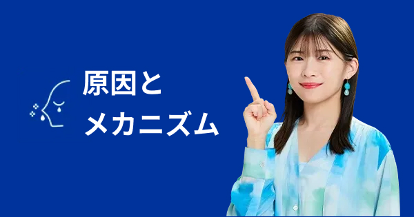 スギ花粉の基本情報｜いつまで？飛散時期・アレルギー症状や対策