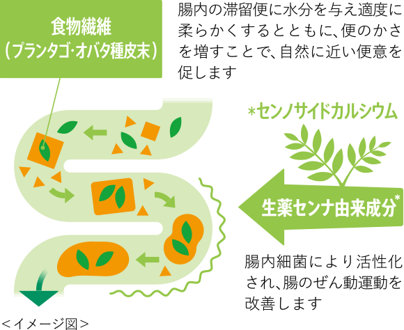 食物繊維と生薬由来成分で、滞留便をお掃除